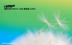 雨林木风最新32位win11传统极速版v2022.02