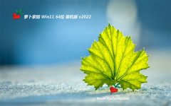 新萝卜家园win11免激活64位流畅抢先版v2022.07